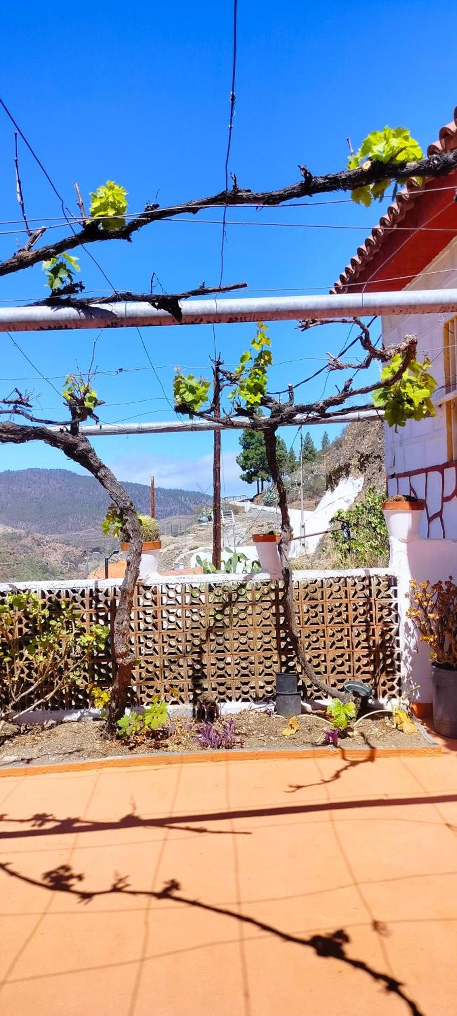 Casa Cueva Rural Trebola, Artenara Juncalillo Екстер'єр фото